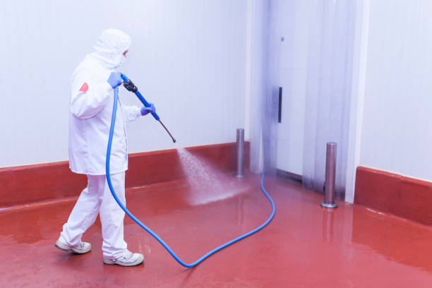 Best Soft Washing  in Montegut, LA