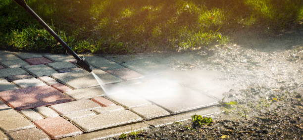 Best Fence Cleaning  in Montegut, LA